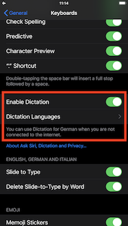 Setup Offline Dictation